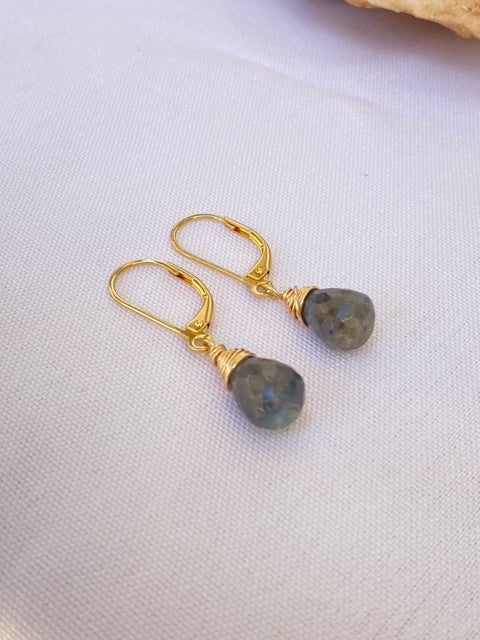 עגילי לברדורייט