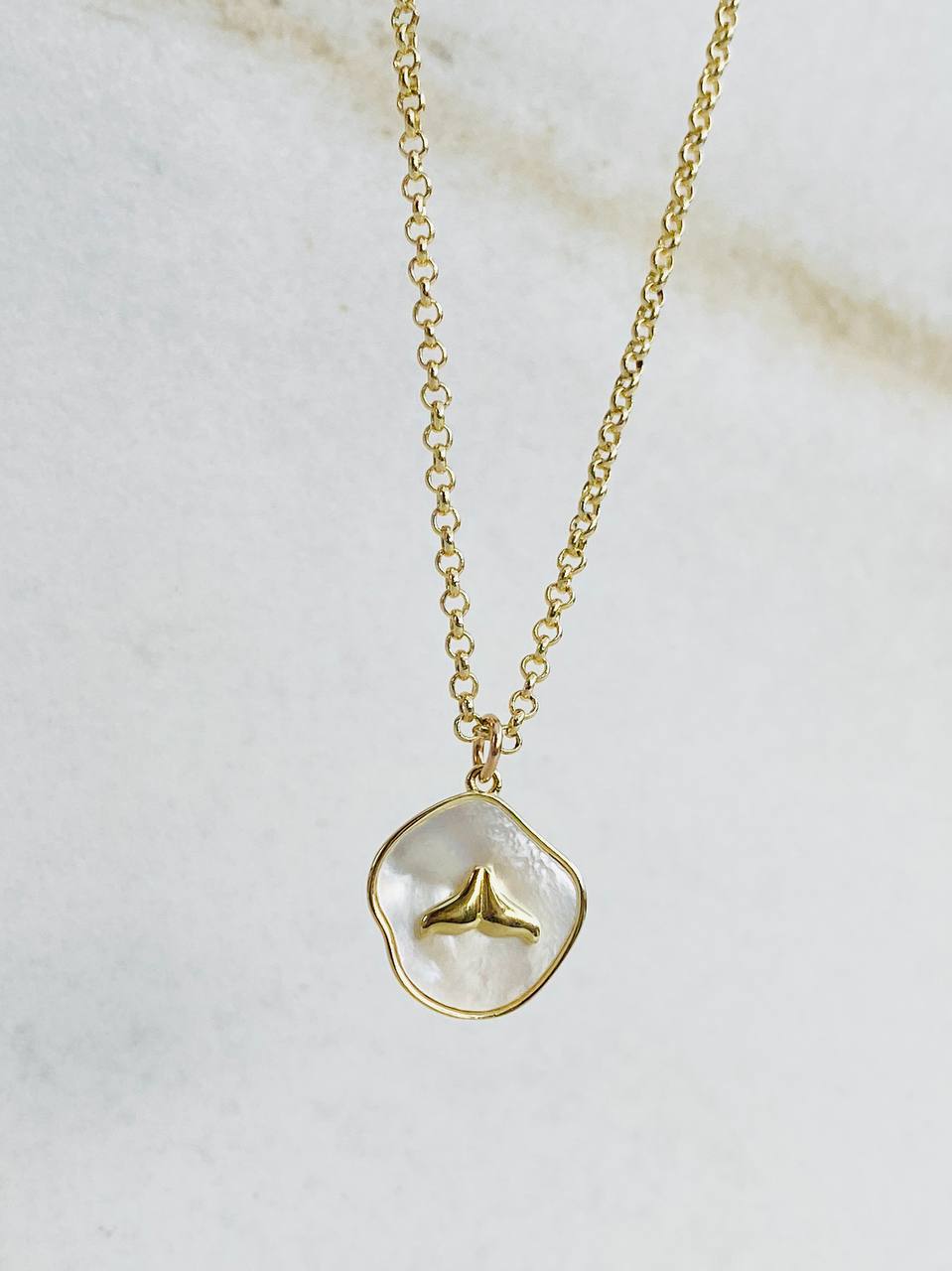 שרשרת צדף סנפיר