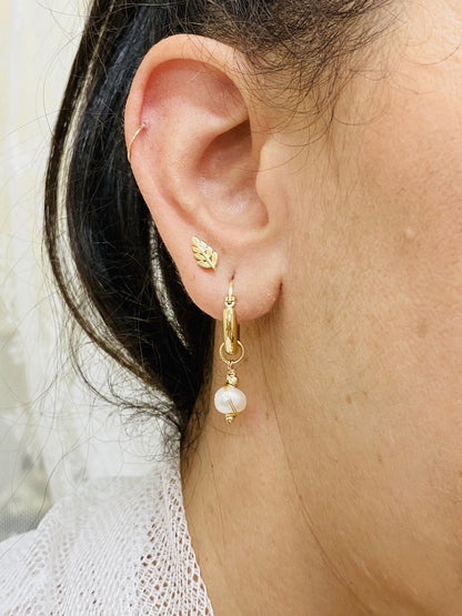 עגילי חישוק עם פנינה רומי