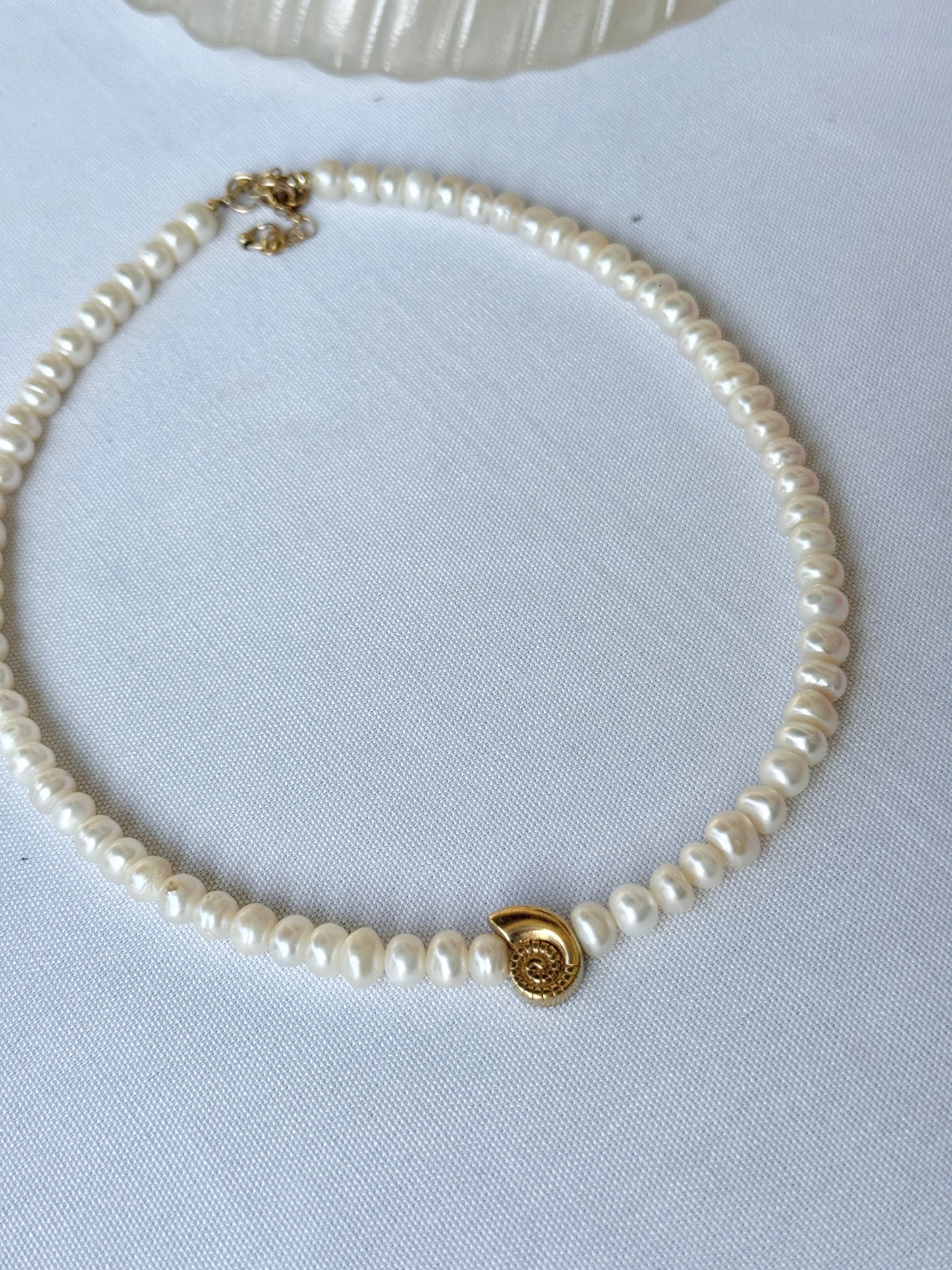 שרשרת פנינים | תליון צדף