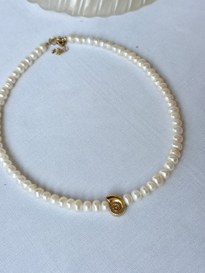 שרשרת פנינים | תליון צדף