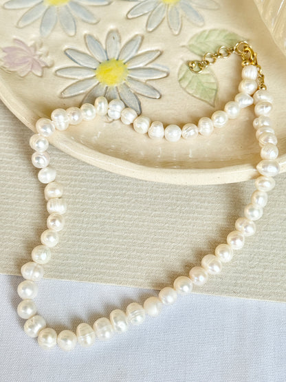 שרשרת מיכל | צ'וקר פנינים