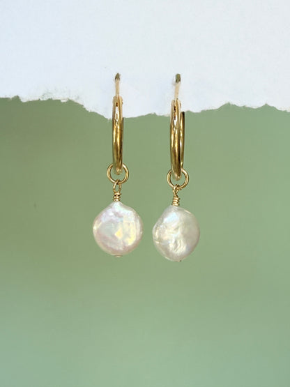 עגילי רומי | פנינה שטוחה