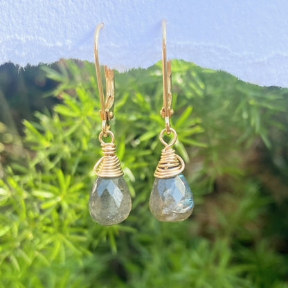 עגילי לברדורייט