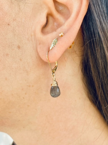 עגילי לברדורייט