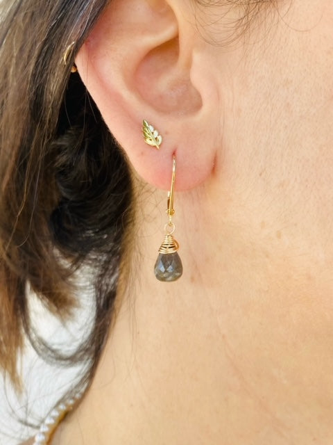 עגילי לברדורייט