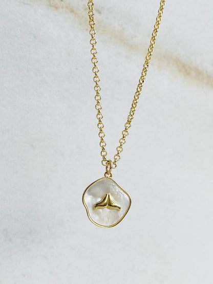 שרשרת צדף סנפיר